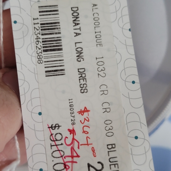 Alcoolique Blue Floral Maxi Dress - Picture 8 of 9